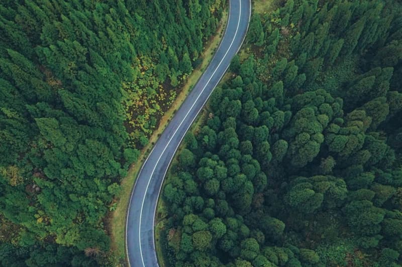 Aerial view of winding road through dense forest, Sete Cidades, Azores